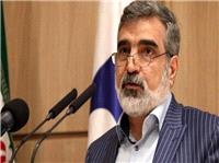کمالوندی: هیچ کشوری به اندازه ایران تحت نظارت آژانس نیست