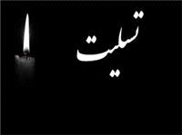 پيام استاندار خراسان جنوبي درپي درگذشت مادر معزز شهيدين نيکبخت