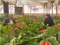 حمايت از توليدکنندگان و کار آفرينان راهکاري موثر براي تحقق شعار سال است