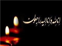پیام تسلیت رییس مجلس در پی درگذشت پدر سیدمسعود شجاعی‌طباطبایی