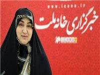 پیگیری مطالبات گندمکاران و اجرای قانون هوای پاک از اولویت‌ها بود/کمیسیون کشاورزی به اصلاح قانون معادن ورود می‌کند