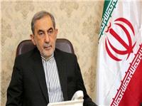 ولایتی: حمایت آمریکا نقش کلیدی در ادامه جنایات رژیم صهیونیستی دارد