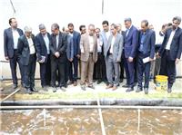 بازديد استاندار خراسان جنوبي از مجتمع کشت و صنعت اميري