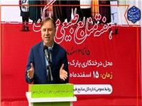 استاندار بوشهر از کاشت 6 ميليون اصله نهال در استان بوشهر خبر داد