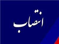 مشاور استاندار فارس در امور پيشکسوتان و دنياديدگان منصوب شد