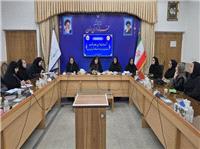 نشست بانوان کارآفرين و فعالان حوزه خانواده در رزن