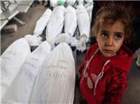 شهادت 31  فلسطینی در کمتر از 24 ساعت