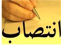 8 انتصاب جديد در استان بوشهر انجام شد