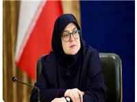 مهاجرانی: دولت چهاردهم در صدد توسعه روابط راهبردی با عربستان است