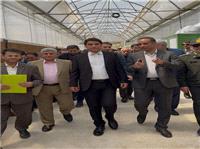 بازديد استاندار از گلخانه قبا سرخ بيجار