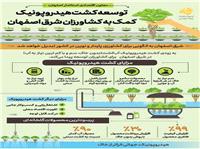 توسعه کشت هيدرو پونيک کمک به کشاورزان شرق اصفهان