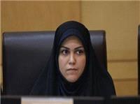 کاهش سقف مهریه به 14 سکه بدون ضمانت جایگزین موثر، تضعیف حقوق شرعی و قانونی زنان است