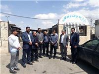 ضرورت جابجايي بازارچه موقت پرندگان همدان براي حفظ سلامت شهروندان