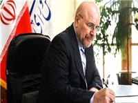 اعزام  هیئتی از نمایندگان 4 کمیسیون مجلس برای بررسی کارشناسی به بندر شهید رجایی