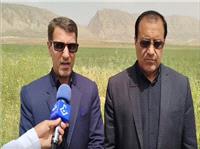 بازديد سرپرست معاونت عمراني استانداري ايلام از پروژه‌هاي اربعين در چرداول