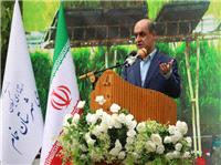 آغاز کشت برنج در 238 هزار هکتار از اراضي گيلان