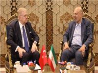 طرح پیشنهاد تاسیس دانشگاه مشترک میان ایران و ترکیه/ دیپلماسی آموزشی باید عملیاتی شود