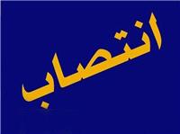 انتصاب "مژگان شريفي" به عنوان مديرکل دفتر امور اجتماعي خراسان جنوبي