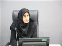رايزني با معاون وزير اقتصاد در راستاي تکميل پتروشيمي زنجان