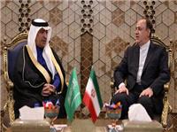 دیپلماسی پارلمانی پشتیبان دیپلماسی بین دولت‌هاست/ موانع همکاری‌های اقتصادی دو کشور باید برطرف شود/ همکاری هر چه بیشتر تهران-ریاض به نفع مردم و کشورهای منطقه است