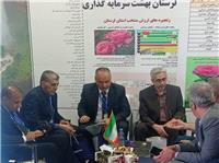 حضور پررنگ استان لرستان در اکسپو 2025 تهران