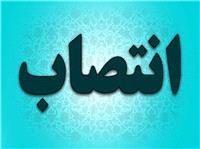 معاون برنامه ريزي و توسعه فرمانداري شهرستان بيرجند منصوب شد