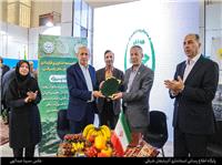 امضاي دو تفاهم‌نامه مهم کشاورزي در نمايشگاه ايران اکسپو 2025 به ارزش 2 همت