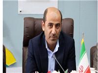 بذر مورد نياز کشاورزان دشتي تامين شود