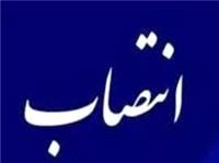 انتصاب سرپرست معاونت سياسي، امنيتي و اجتماعي فرمانداري سربيشه