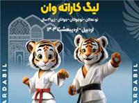 کاراته‌کاها در استان اردبیل به میدان خواهند رفت