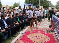 شوش قطب پرورش اسب خوزستان است