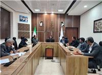 کرمان، پيشگام در توليد سوخت جايگزين از پسماند خشک