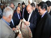 بازديد وزير کار و استاندار کرمان از طرح‌هاي مشاغل خانگي