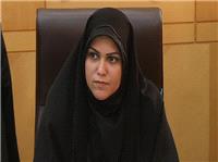 ملاک مجلس برنامه های شفاف و کاربردی درجهت تحقق برنامه هفتم توسعه است