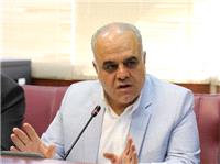 انتظارات بخش خصوصي فارس در حوزه معدن / فعاليت شوراي معادن استان ها نيازمند بازنگري