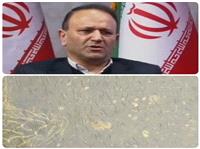 بچه ماهي حاصل ازاجراي طرح کمک  به تکثيرطبيعي ازاستخر تعاوني  صيادي پره شهيد قاسمي شهرستان چالوس