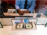 یک اقتصاددان پیش بینی کرد دلار تا پایان سال به 41 تا 42 لیر ترکیه برسد