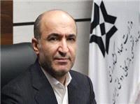 خريد تضميني گندم از جنوب‌شرق کشور آغاز ‌شد