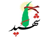 شهادت يک مرزبان ارتش در سومار