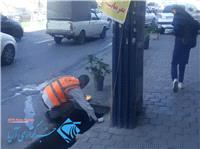 عزم جدی شهرداری گرگان در مبارزه با حیوانات موذی سطح شهر