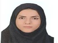 ارزشيابي برنامه مراقبت ادغام يافته و جامع سالمندي وزارت بهداشت براساس الگوي CIPP