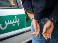 اعتراف به سرقت 10 ميلياردي اماکن خصوصي در مازندران