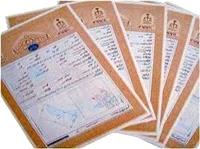 تعيين تکليف 2750 پرونده ثبتي کشاورزي در بابل با هدف تسهيل مالکيت و رونق توليد