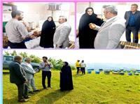 توسعه کسب‌وکارهاي کوچک رمز ماندگاري اقتصاد در قائم‌شهر است