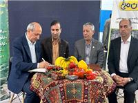 امضاي دو تفاهم‌نامه مهم کشاورزي در نمايشگاه ايران اکسپو 1404 به ارزش 2 همت