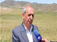 جبران خسارت ناشي از سرمازدگي و تگرک در بخش کشاورزي اهر پيگيري مي شود