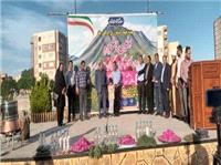 آذربايجان شرقي چهارمين قطب توليد گل محمدي در کشور