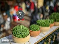 از افزايش گردشگران پايتخت تا برگزاري تور تخصصي ويژه کودکان براي اولين بار