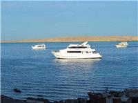 Russian tourists killed after submarine sinks off Egyptian coast