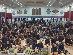 طنين نداي العفو در استان کهگيلويه و بويراحمد